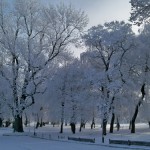 park