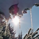 spring is in the air