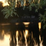 reflection